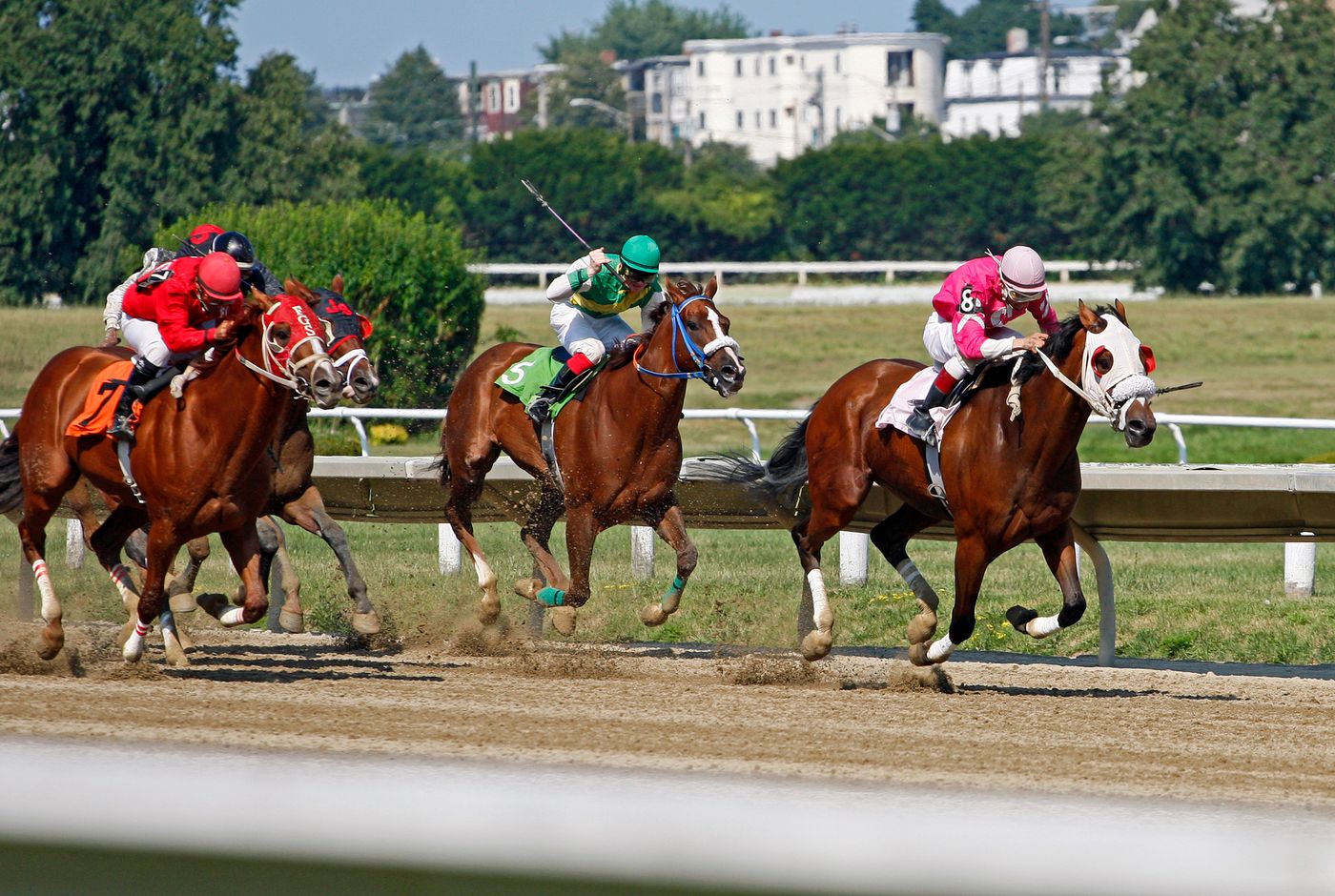 Horse Racing