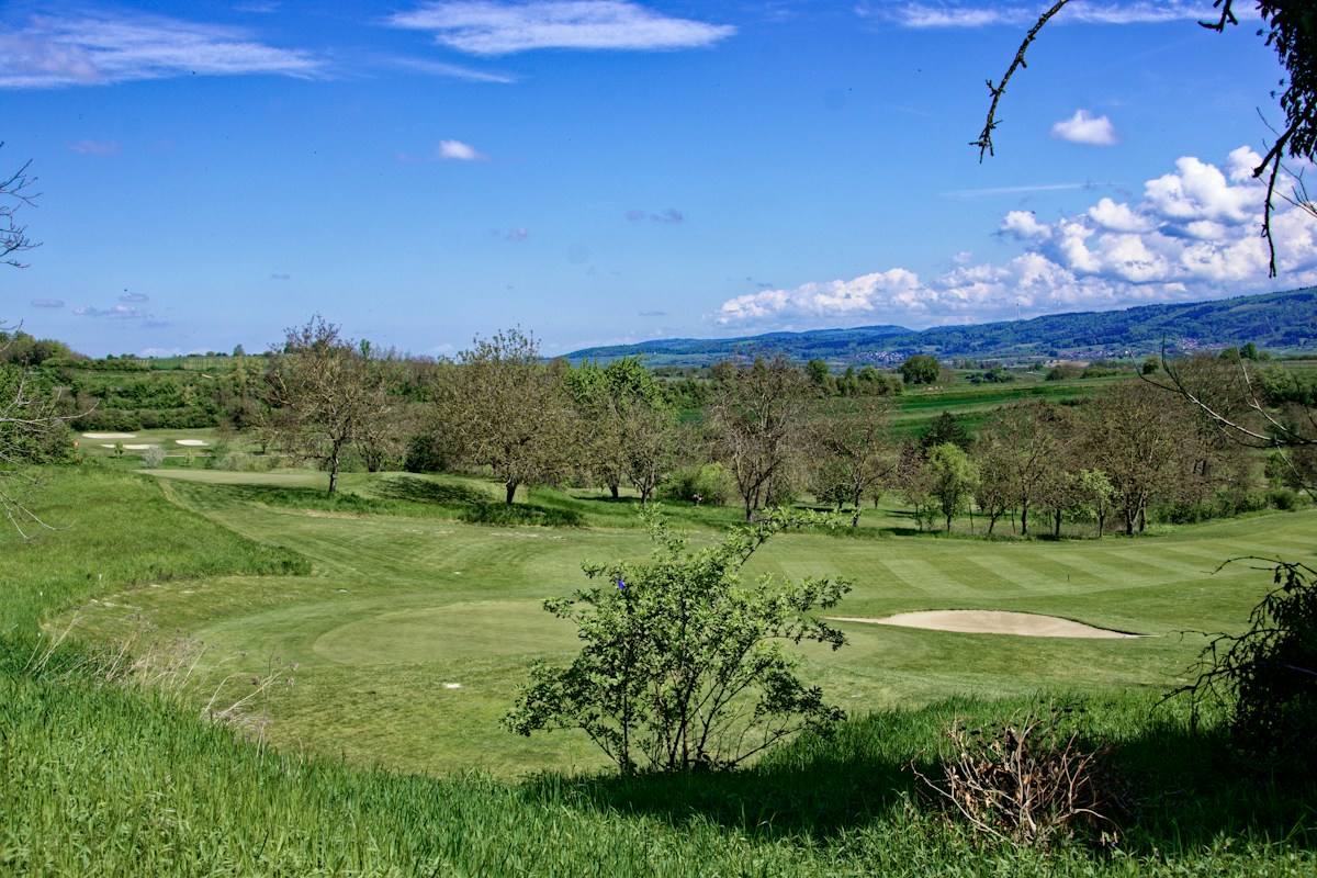 The Fairway & Barrel Four Days
